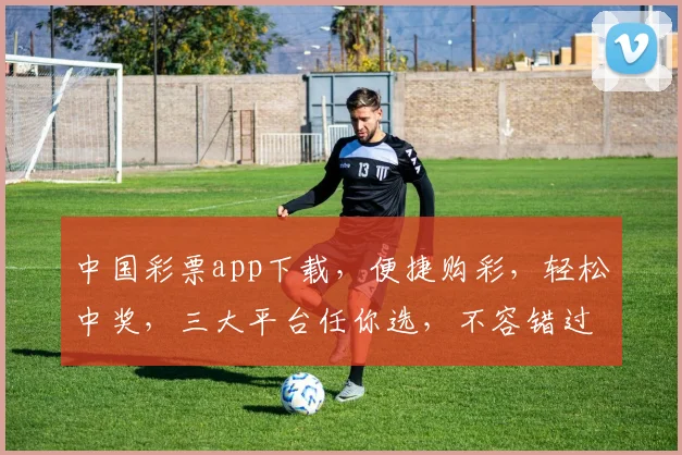 中国彩票app下载，便捷购彩，轻松中奖，三大平台任你选，不容错过