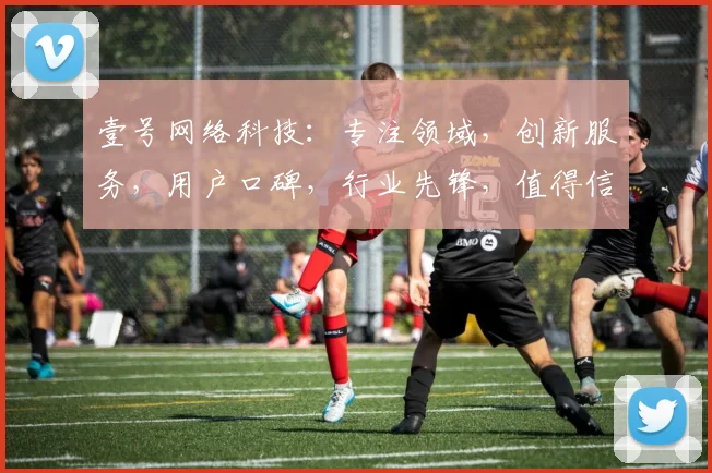 壹号网络科技：专注领域，创新服务，用户口碑，行业先锋，值得信赖三连击