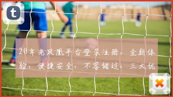 20年老凤凰平台登录注册，全新体验，便捷安全，不容错过，三大优势，三步完成