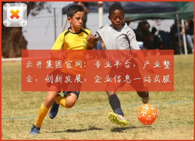 云开集团官网：专业平台，产业整合，创新发展，企业信息一站式服务，引领行业潮流